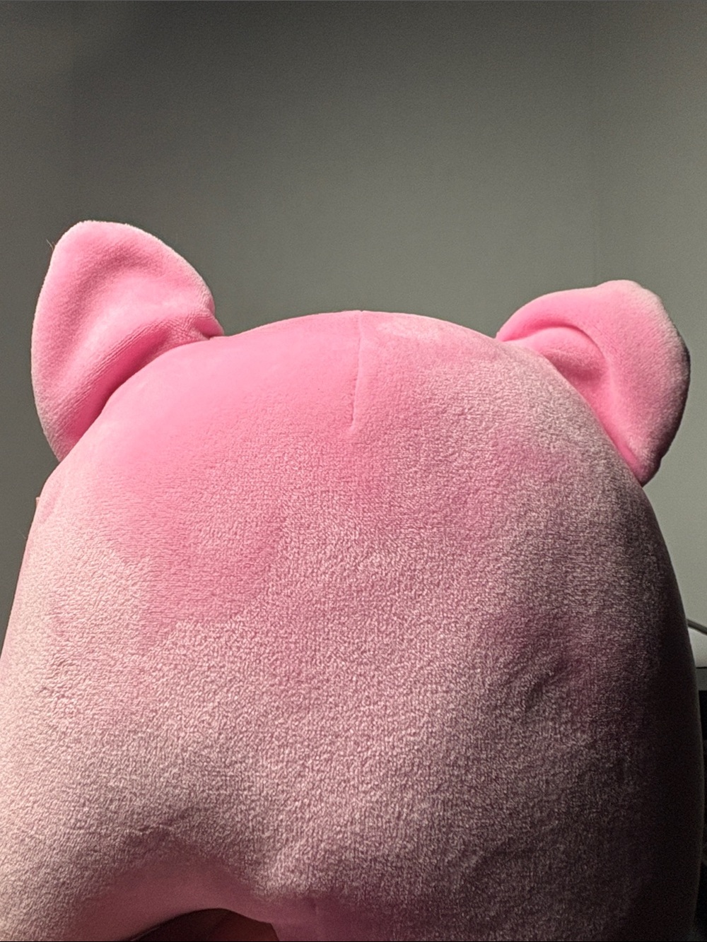 Rhiannon Squishmallows the Fox Pink Plush CUTE!🥰 - Picture 9 of 11